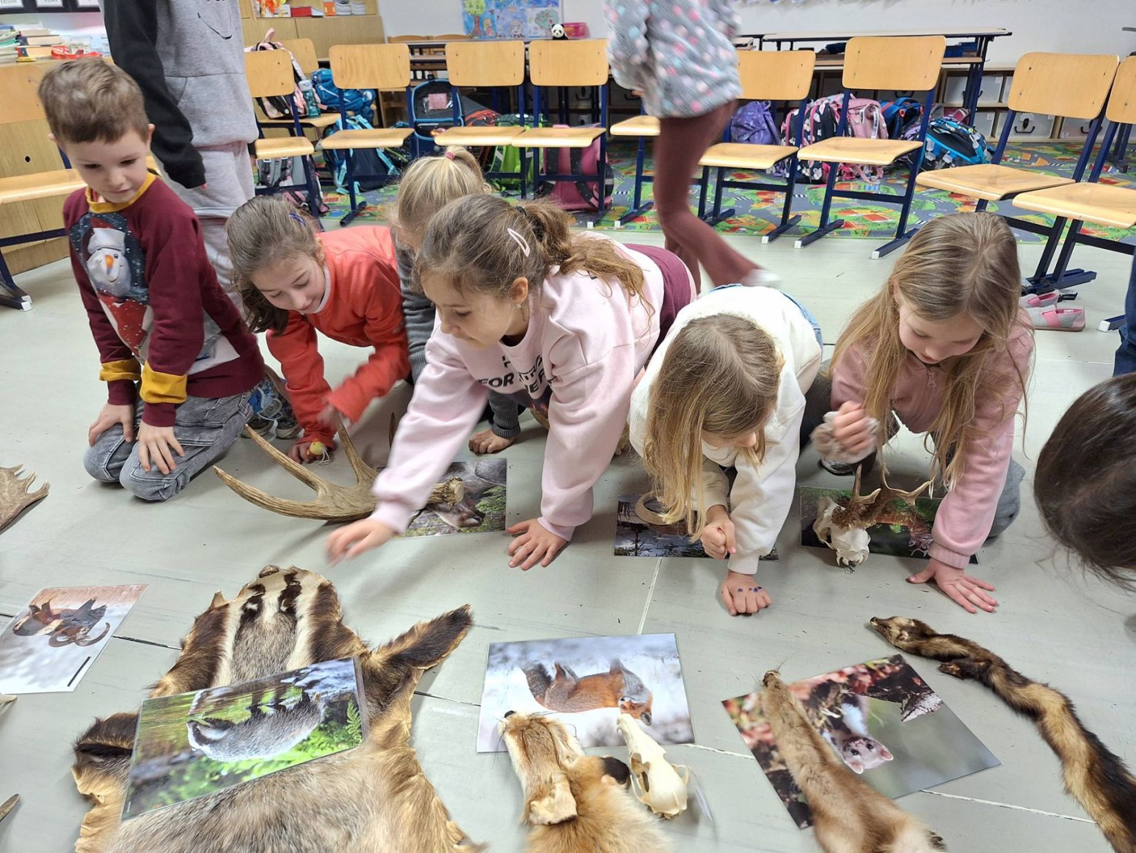 Fotogalerie - Homepage