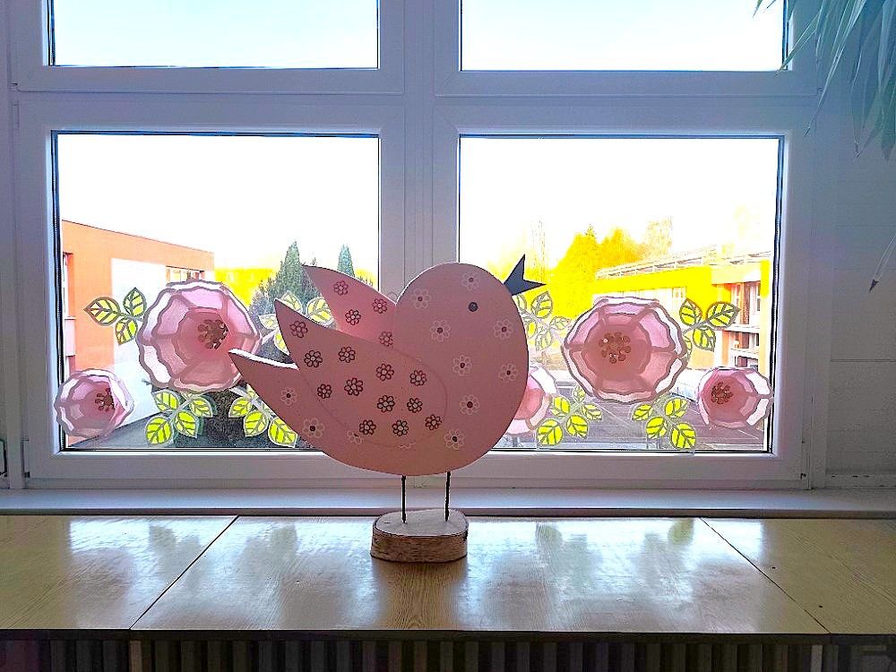 Fotogalerie - Homepage