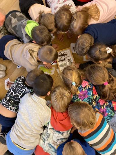 Fantastický svět rostlin a zvířat