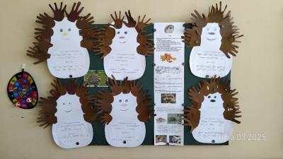 Aktivity u druháčků