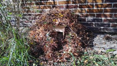 Aktivity u druháčků