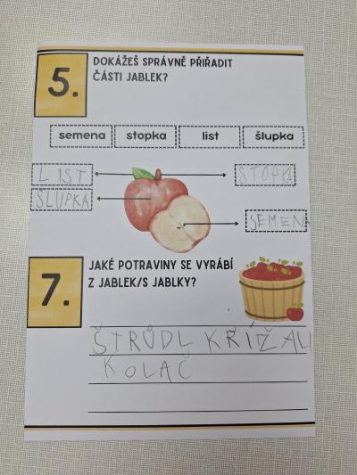 Aktivity u druháčků