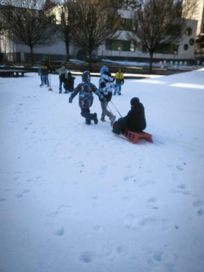 Závody psích spřežení