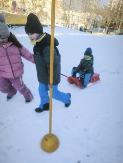 Závody psích spřežení
