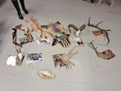 Druháčci pronikají do tajů myslivosti