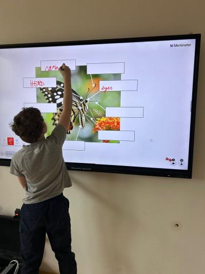 Projektový Den Země na 2. stupni